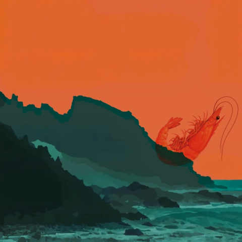gastromar_20251709