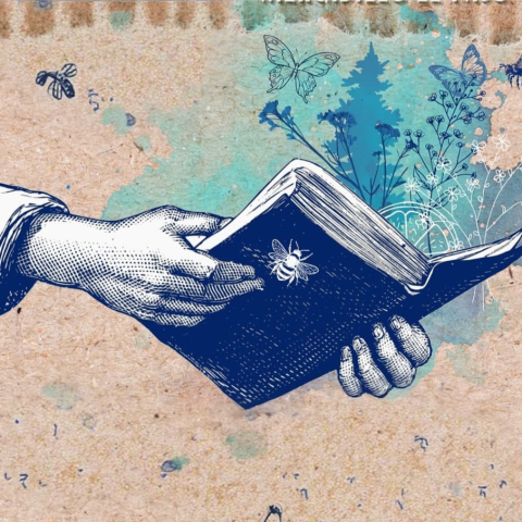 mercafest_dia_libro_1
