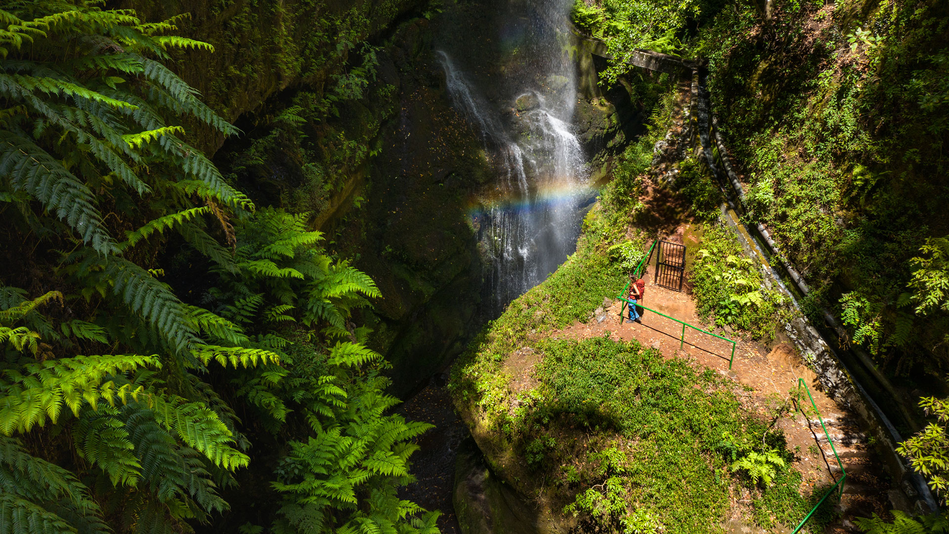 Bosque de Los Tilos