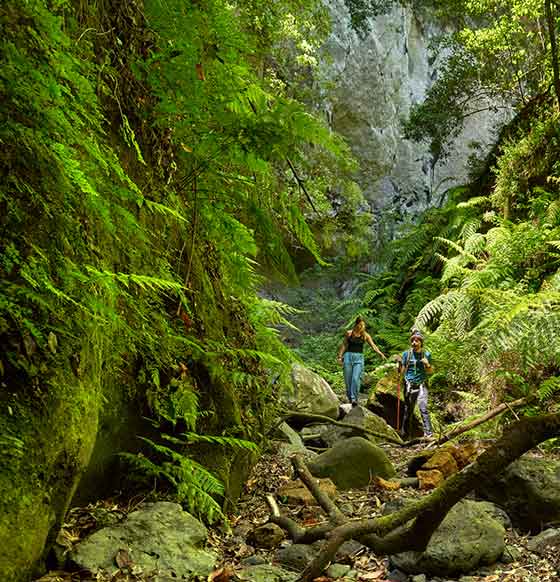 La Isla Bonita - Piękna Wyspa | La Palma