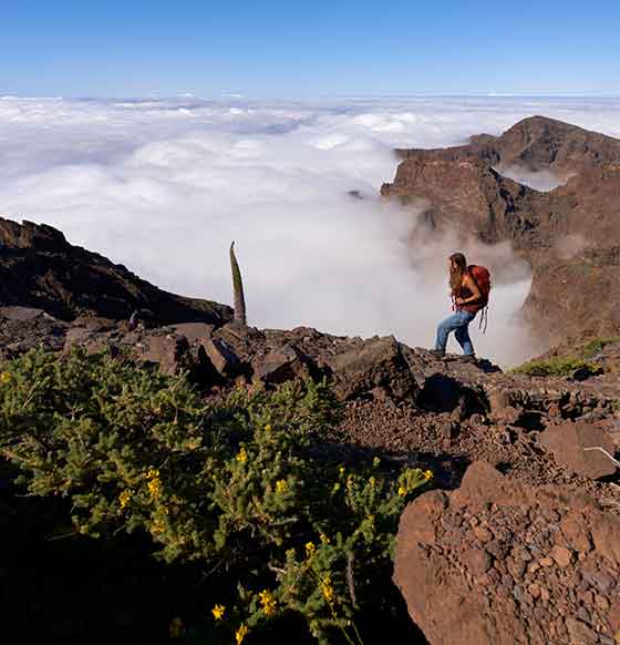 Roque de los muchachos