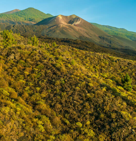 Volcán Tajogaite