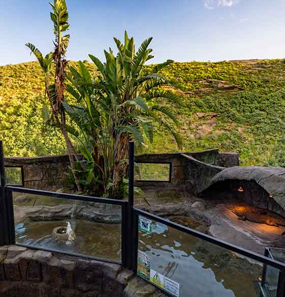 Centros de ocio en La Palma