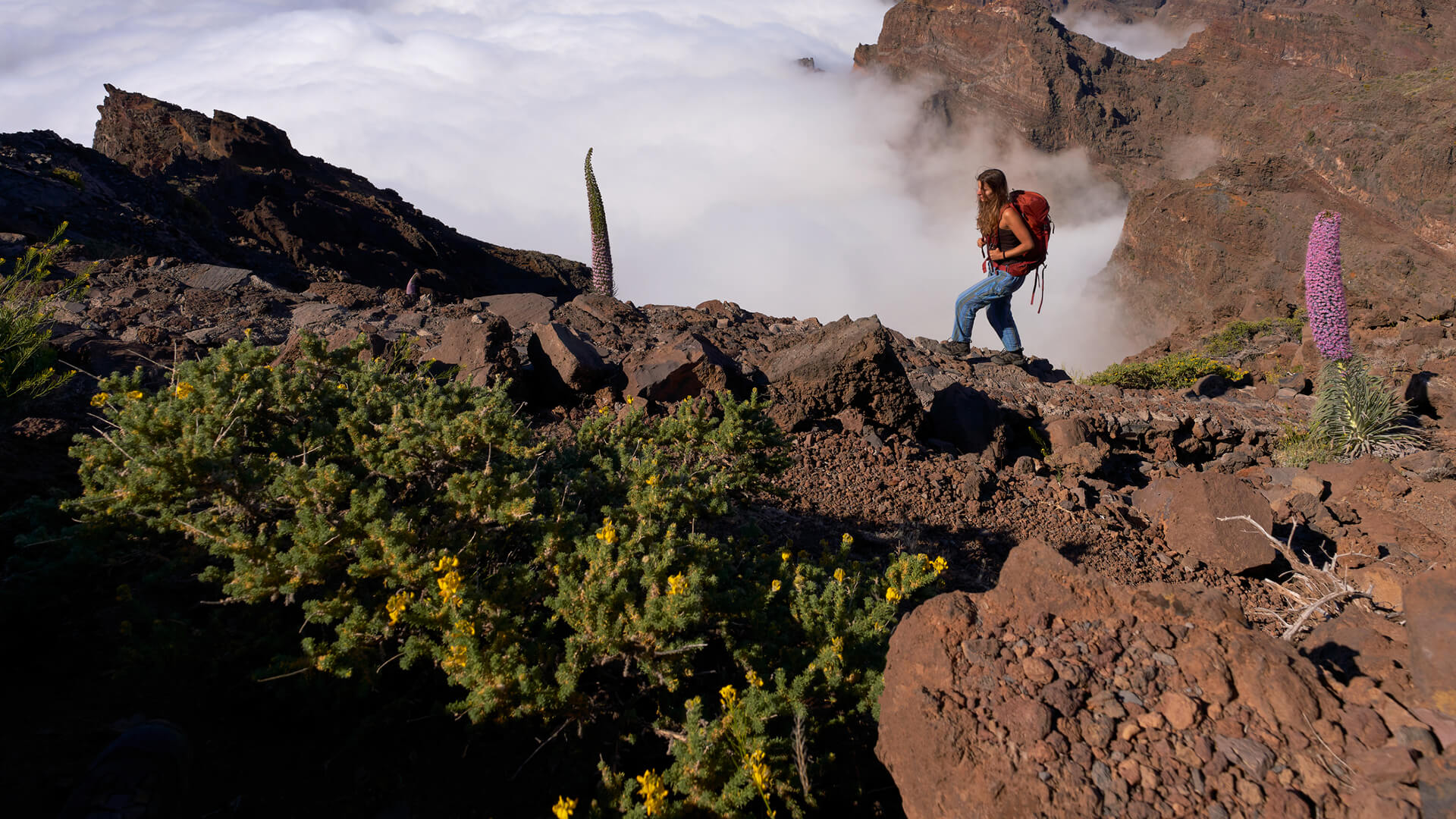 Excursión en coche al Roque de Los Muchachos en La Palma - cabecera
