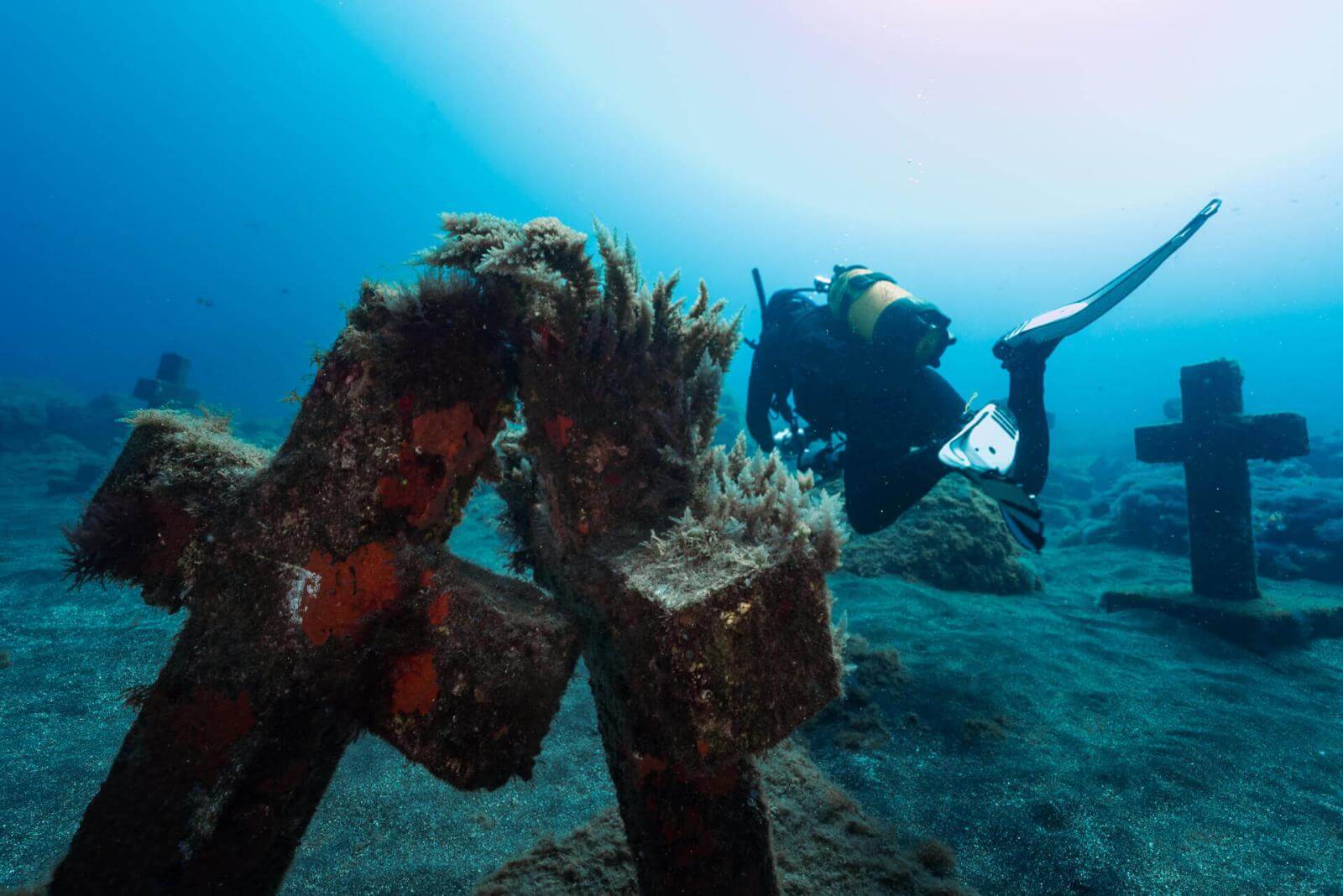 Cruces de Malpique