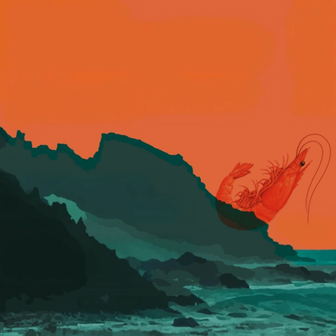gastromar_20251709