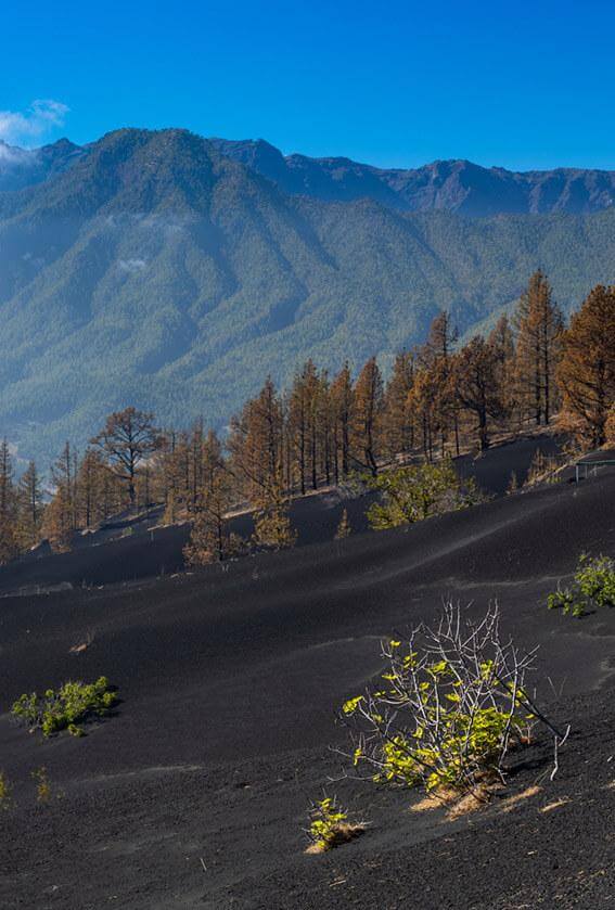 Volcán. El Paso. La Palma.