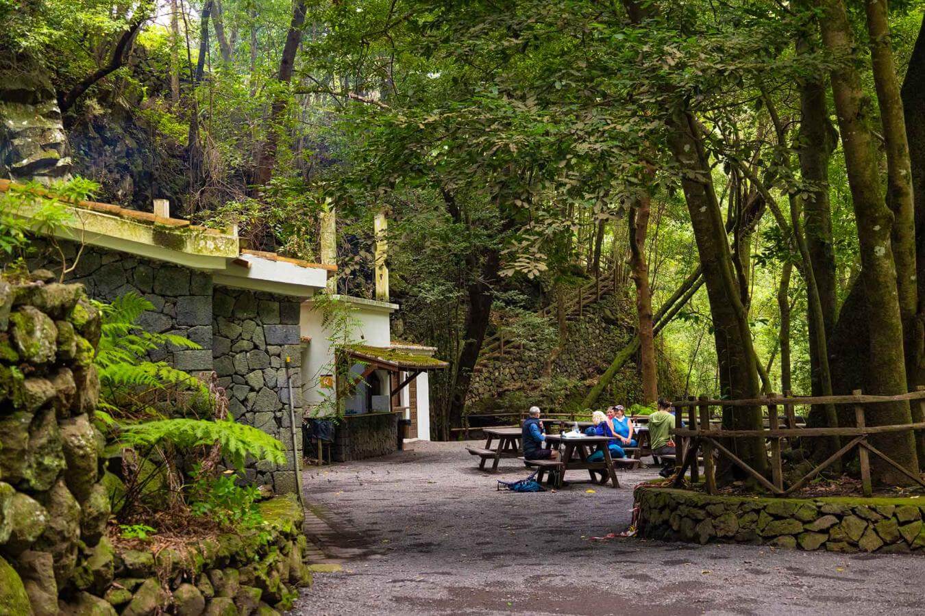 Bosque de Los Tilos