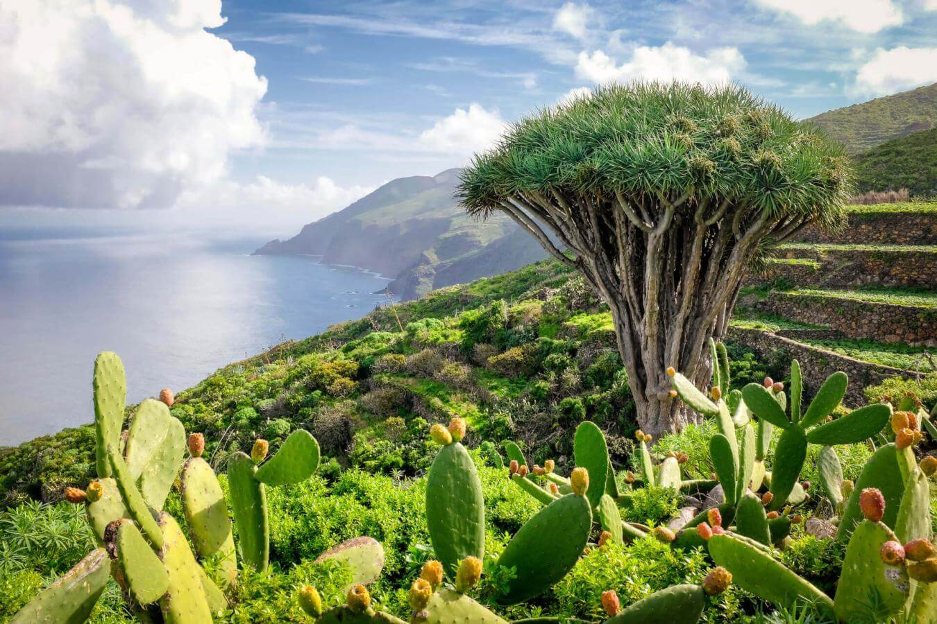 El Tablado, La Palma 
