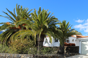 Besuchen Sie La Palma - Casa Almendras