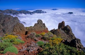 Visit La Palma - Mar de nubes