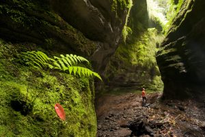 Visit La Palma - Parque Natural de las Nieves – Cubo de la Galga (Punto de Información Ambiental)
