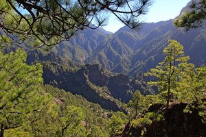 Visit La Palma - Parque Nacional de La Caldera de Taburiente