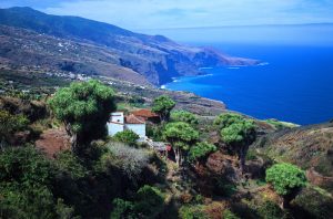 Visit La Palma - Las Toscas – Gallegos (parte de la etapa 3 del GR 130)