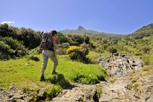 Visit La Palma - Refugio del Pilar – Mazo (PR LP 16)