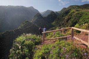 Besuchen Sie La Palma - Barrancos