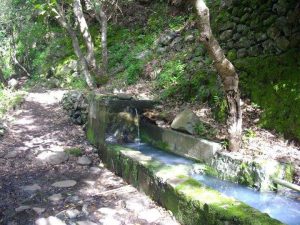 Visit La Palma - Las Fuentes de las Breñas (PR LP 19)