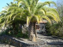 Visita La Palma - Casa Dos Caminos